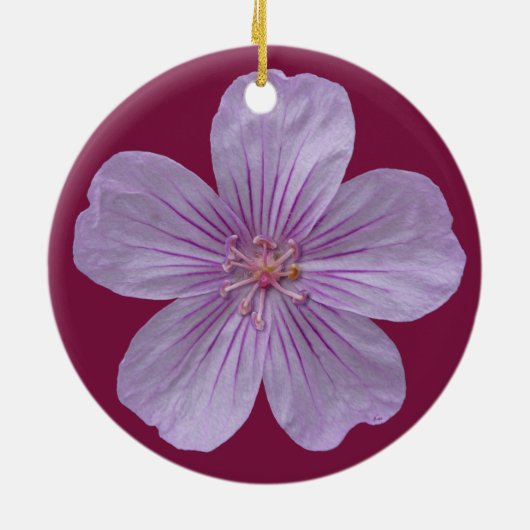 Pineywood Geranium #1 Keramikornament (Hinten)