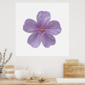 Pineywood Geranium #1 Poster (Küche)