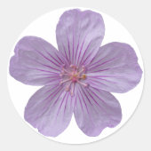 Pineywood Geranium #1 Runder Aufkleber (Vorderseite)