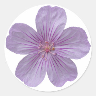 Pineywood Geranium #1 Runder Aufkleber