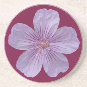 Pineywood Geranium #1 Sandstein Untersetzer