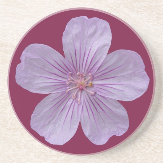 Pineywood Geranium #1 Sandstein Untersetzer (Vorne)