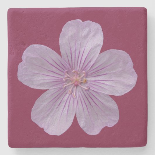 Pineywood Geranium #1 Steinuntersetzer (Vorderseite)