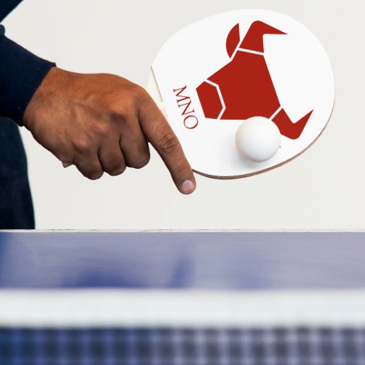 Ping Pong Paddle Tischtennis Schläger (InSitu)