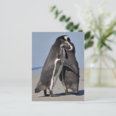 Pingo Hugs Postcard Postkarte (Stehend Vorderseite)