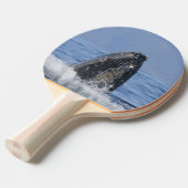 Pingpongpaddel mit Walen Tischtennis Schläger (Vorderseite)