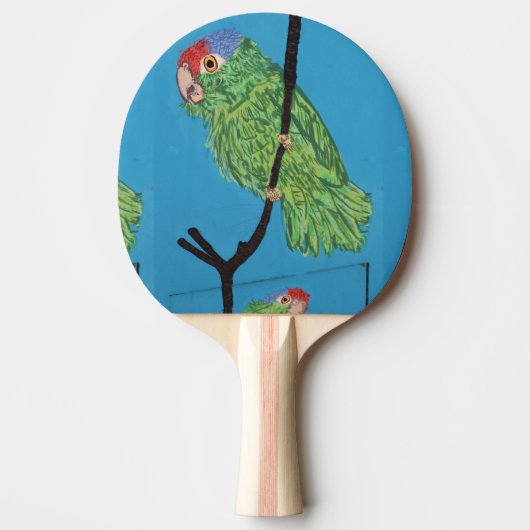 Pingpongpaddel Tischtennis Schläger (Vorderseite)