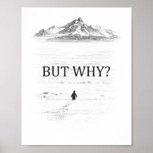 Pinguin Aber Warum Berge Poster