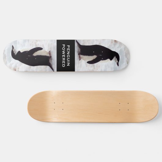 Pinguin angetriebenes Skateboard (Horizontal)
