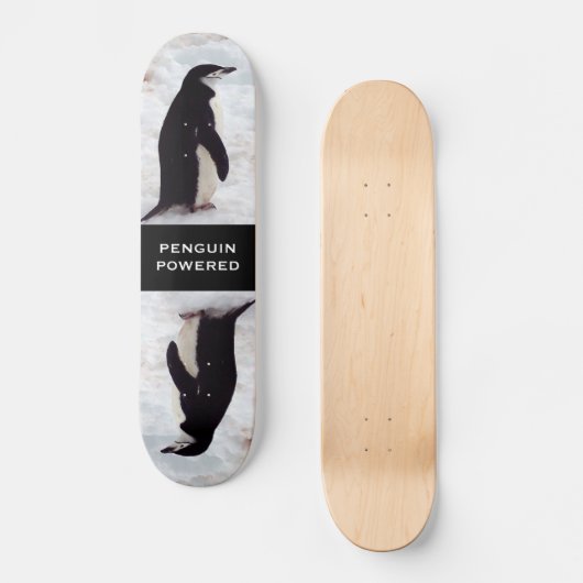 Pinguin angetriebenes Skateboard (Vorderseite)