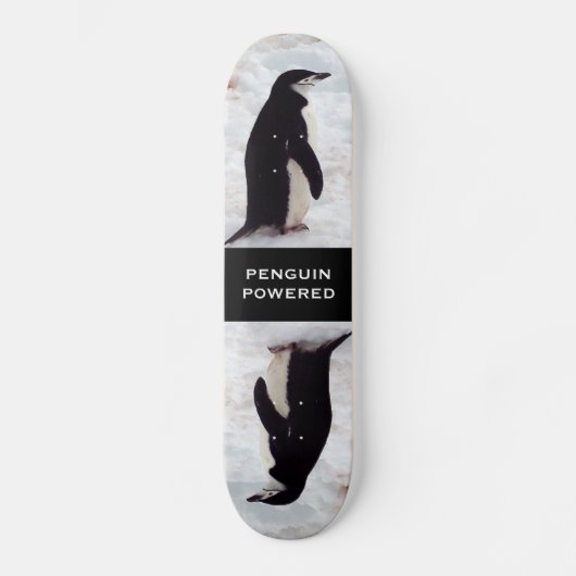 Pinguin angetriebenes Skateboard (Vorderseite)