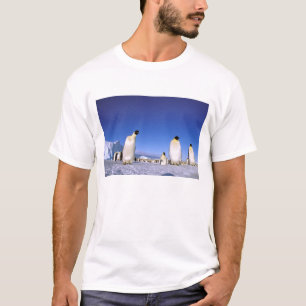 Pinguin Antarktika, Antarktische Halbinsel T-Shirt