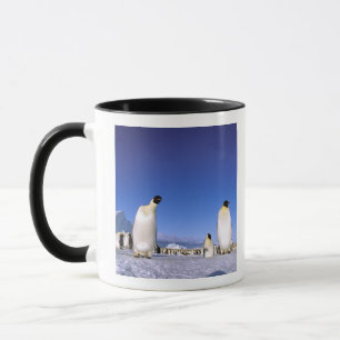 Pinguin Antarktika, Antarktische Halbinsel Tasse