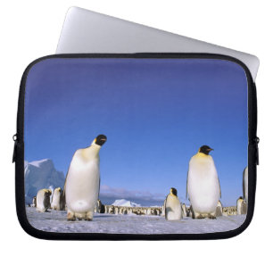 Pinguin   Antarktis, Antarktische Halbinsel Laptopschutzhülle