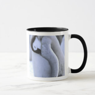 Pinguin   Antarktische Halbinsel, Weddellmeer Tasse
