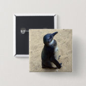 Pinguin auf Sand Button (Vorne & Hinten)