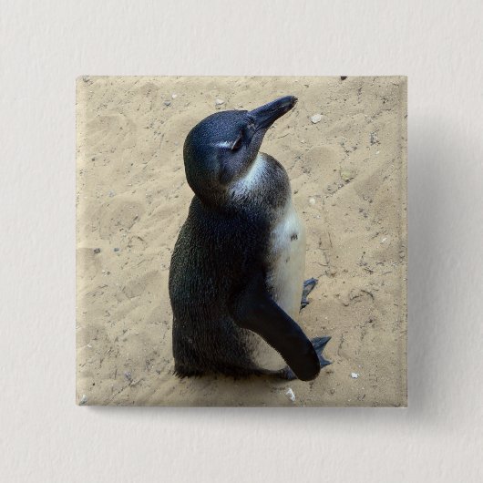 Pinguin auf Sand Button (Vorderseite)