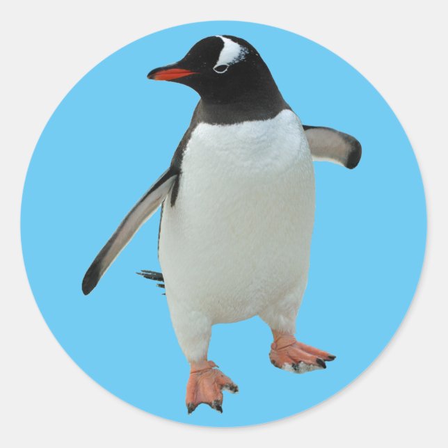 Pinguin-Aufkleber Runder Aufkleber (Vorderseite)