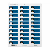 Pinguin aus niedlichem Cartoon mit blauem Hintergr (Vorne)