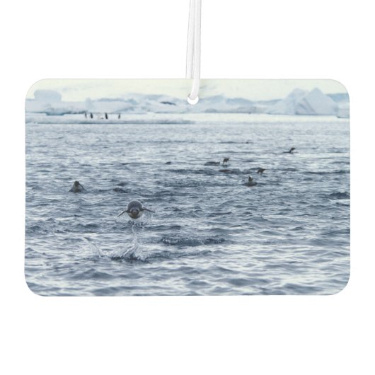 Pinguin Autolufterfrischer (Rückseite)