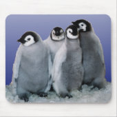 Pinguin-Babys Mousepad (Vorne)