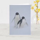 Pinguin-Blizzard Karte (Gelbe Blume)