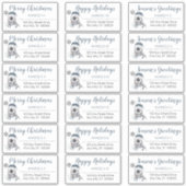 Pinguin Blue | Grau Christmas Address Labels (Vorderseite)