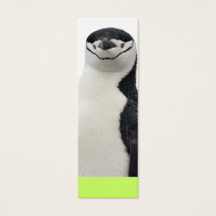 Pinguin-Buch-Gruppe