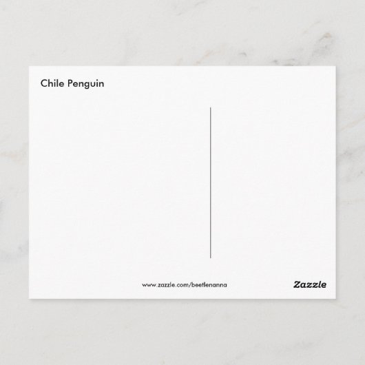 Pinguin Chile Postcard Postkarte (Rückseite)
