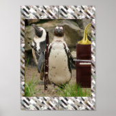Pinguin Concert Poster (Vorne)