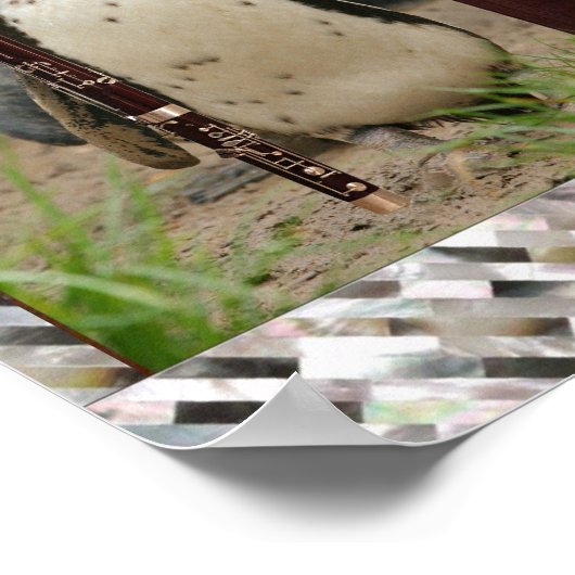 Pinguin Concert Poster (Ecke)