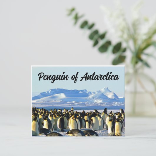 Pinguin der Antarktis Postkarte (Stehend Vorderseite)