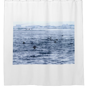 Pinguin Duschvorhang