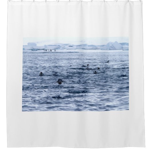 Pinguin Duschvorhang (Vorderseite)
