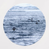 Pinguin Etiketten (Design 2)