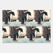 Pinguin - Faltpapierblätter Geschenkpapier Set (Vorderseite 2)