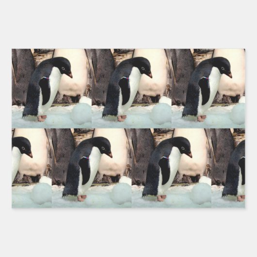 Pinguin - Faltpapierblätter Geschenkpapier Set (Vorderseite)