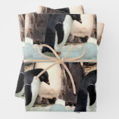 Pinguin - Faltpapierblätter Geschenkpapier Set (Beispiel)