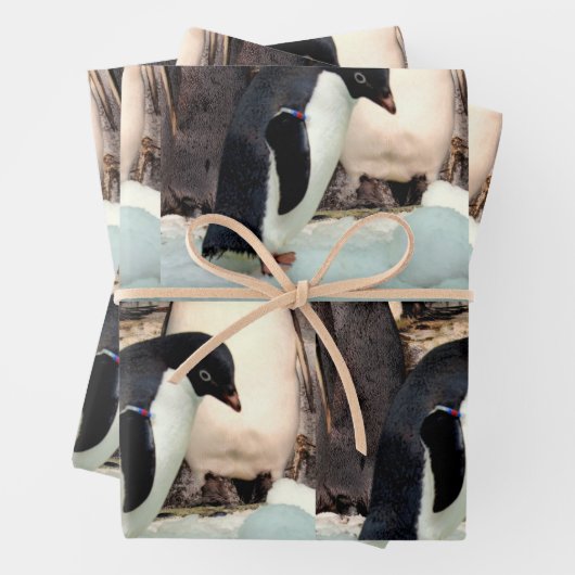 Pinguin - Faltpapierblätter Geschenkpapier Set (Beispiel)
