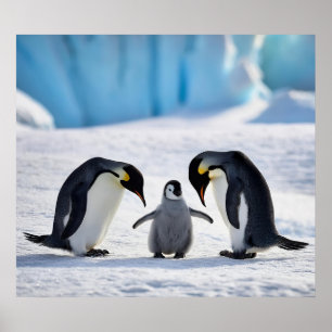 Pinguin Family Poster