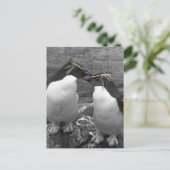 Pinguin-Farbsplash Postkarte (Stehend Vorderseite)