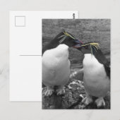 Pinguin-Farbsplash Postkarte (Vorne/Hinten)