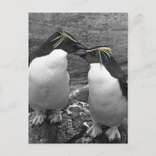 Pinguin-Farbsplash Postkarte (Vorderseite)