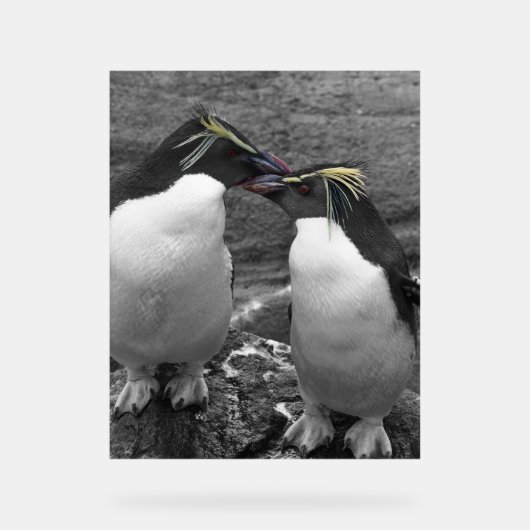 Pinguin-Farbspritzer Acrylschild (Vorderseite)