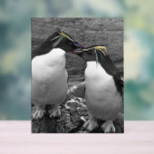 Pinguin-Farbspritzer Acrylschild (Neutral)