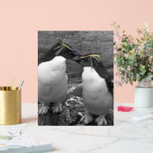 Pinguin-Farbspritzer Acrylschild (Hochzeit)