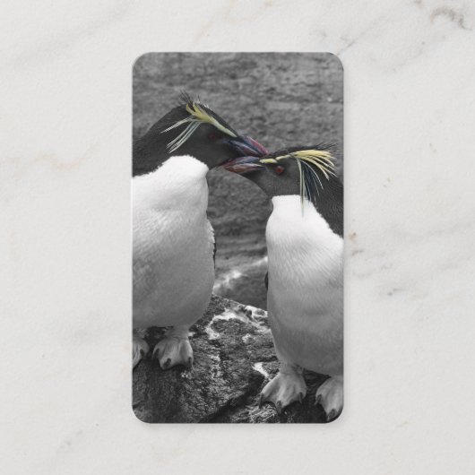 Pinguin-Farbtupfer Visitenkarte (Vorderseite)