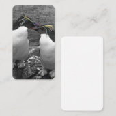 Pinguin-Farbtupfer Visitenkarte (Vorne/Hinten)