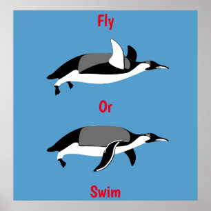 Pinguin Fliegen oder Schwimmen Poster