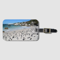 Pinguin-Flussstein-Strand | Südafrika